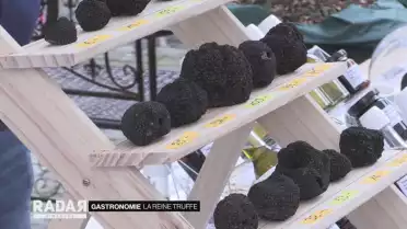 La reine truffe