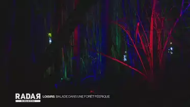 Balade dans une forêt féerique