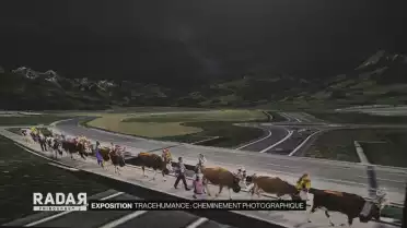 Tracehumance : cheminement photographique