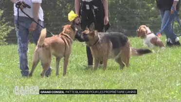 Retour des cours pour propriétaires canins