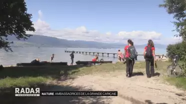 Ambassadrices de la Grande Cariçaie