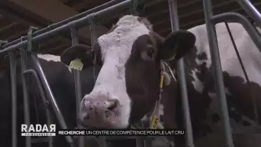 Et le lait cru n&#039;aura plus de secrets