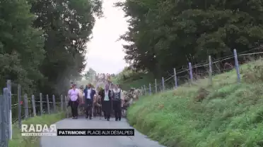 La Désalpe, une tradition bien vivante dans le canton