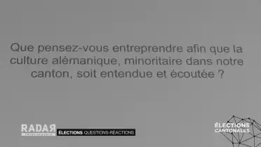 Élections cantonales