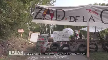 Zadiste un jour, zadiste toujours ?