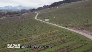 L’heure de sabrer le champagne ?