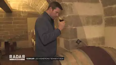 Les vignerons tiennent bon