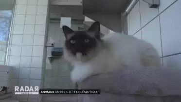 Journal du 12 avril 2021