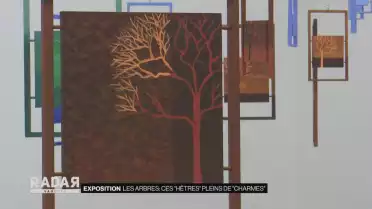 Les arbres: ces &quot;hêtres&quot; pleins de &quot;charmes&quot;