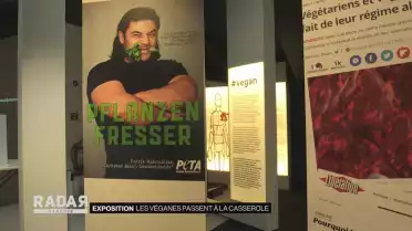 Les véganes passent à la casserole