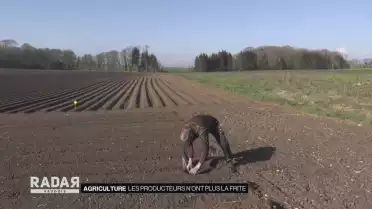 Les producteurs n&#039;ont plus la frite