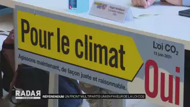 50 nuances de vert