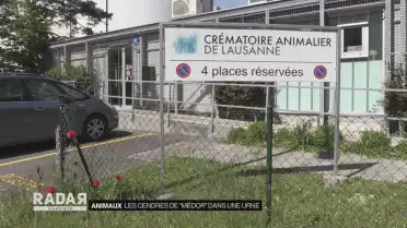 Les cendres de &quot;Médor&quot; dans une urne