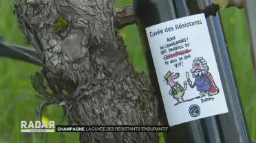 La cuvée des Résistants &quot;endurants&quot;
