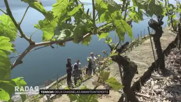 Deux Chasselas. amants interdits
