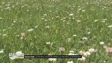 Le peuple vaudois appelé à sauver le Mormont