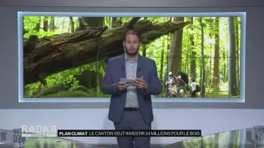 Le Canton veut investir 34 millions pour le bois