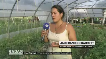 Des légumes s&#039;installent à Jouxtens