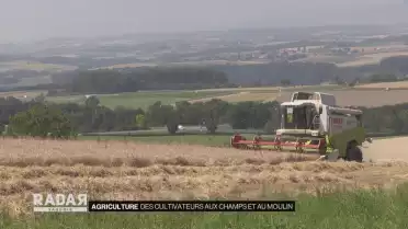 Des agriculteurs au champ et au moulin