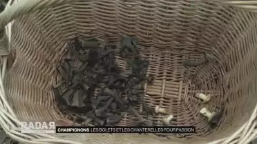 Journal du 4 août 2021