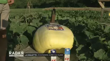 La Coulette : Un domaine agricole aussi