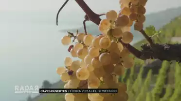 L&#039;édition 2021 des caves ouvertes a lieu ce weekend