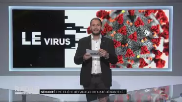 Des filières de faux pass démantelées
