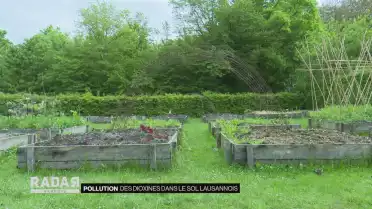 Journal du 11 octobre 2021