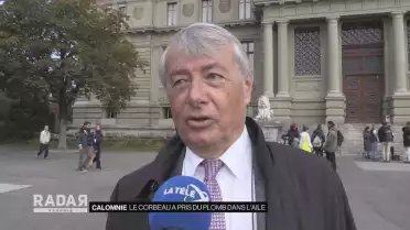 Du plomb dans l&#039;aile du corbeau