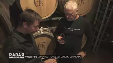 Viticulture : L&#039;escargot rouge à la conquête du monde