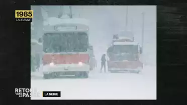 Retour vers le passé de la neige