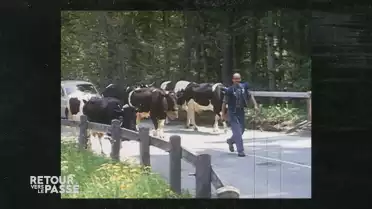 Retour vers le passé de l&#039;agriculture