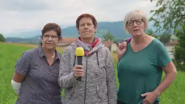 &quot;Bouèbe&quot;, “Piaute”, “Des Tsausses” et &quot;Nianiou&quot;
