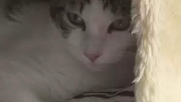 Présenté par Lolita Morena