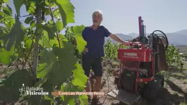 Cave Les Vignes de Vevey