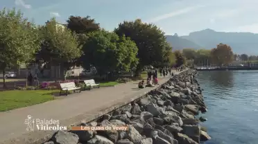 Balade le long des quais de Vevey