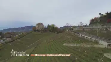 Balade de Montreux au Château du Châtelard