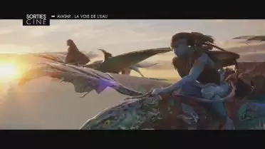 Les sorties ciné des 14 et 21 décembre 2022