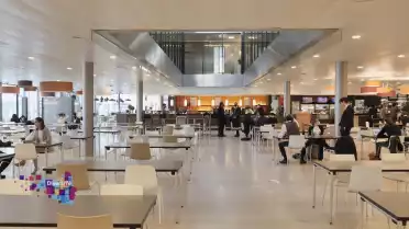 EHL: &quot;Notre prestige vient de la mixité sociale&quot;