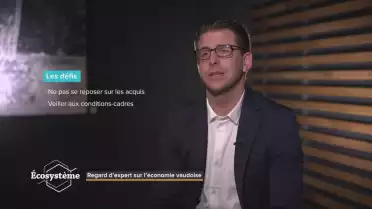Regard d&#039;expert