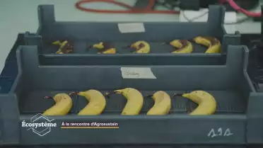 À la rencontre d&#039;une PME