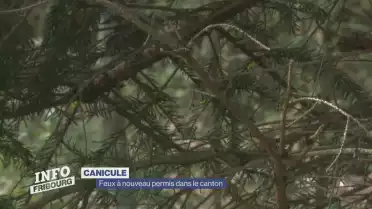 Feux en plein air à nouveau permis