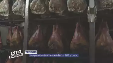 Les premiers Jambons de la Borne AOP arrivent