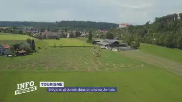 Naviguer dans le maïs