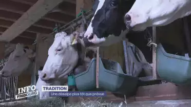 Une désalpe plus tôt que prévue