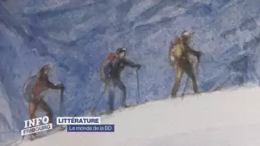 Le monde pas toujours merveilleux de la BD