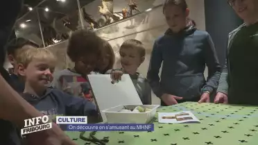 On découvre en s&#039;amusant au MHNF