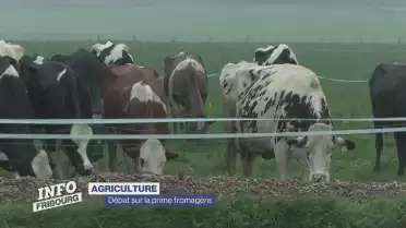 Débat sur la prime fromagère