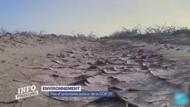 Que faut-il attendre de la COP 27 ?