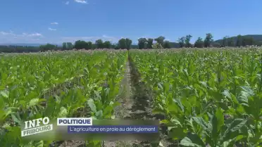 Pas de soutien extraordinaire à l&#039;agriculture